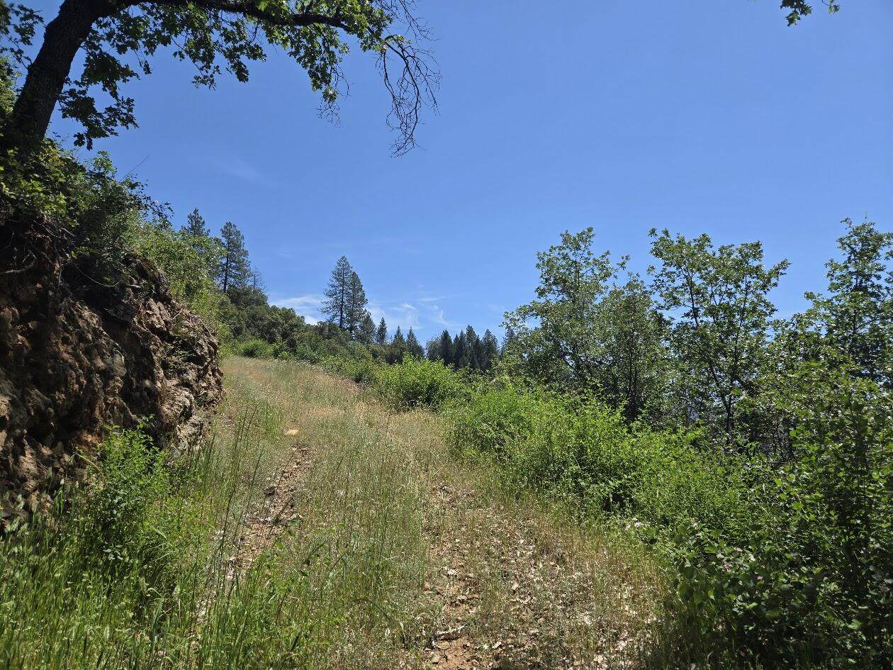 https://bt-photos.global.ssl.fastly.net/shasta/orig_boomver_1_26-3708-2.jpg