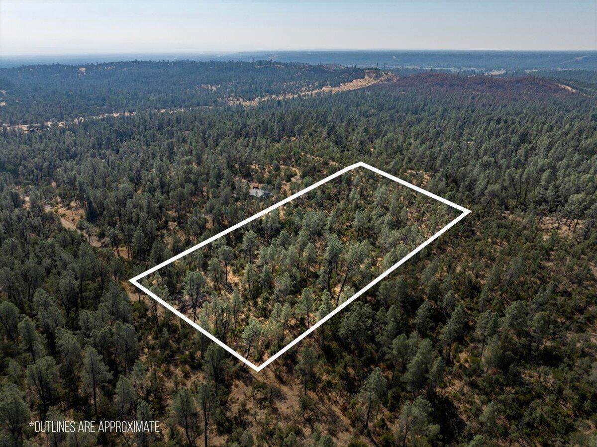 4820 Aloe Vera Drive - Photo 1