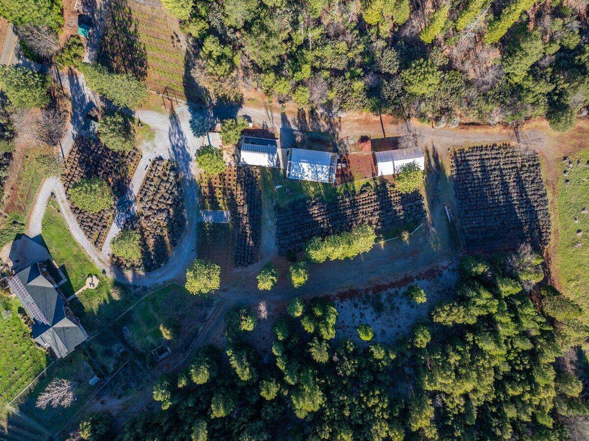 12757 Fern Road - Photo 1