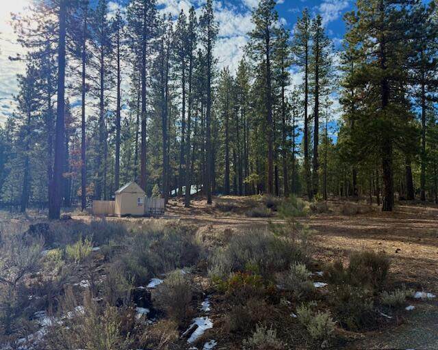 Deer Tracks Court - Photo 1