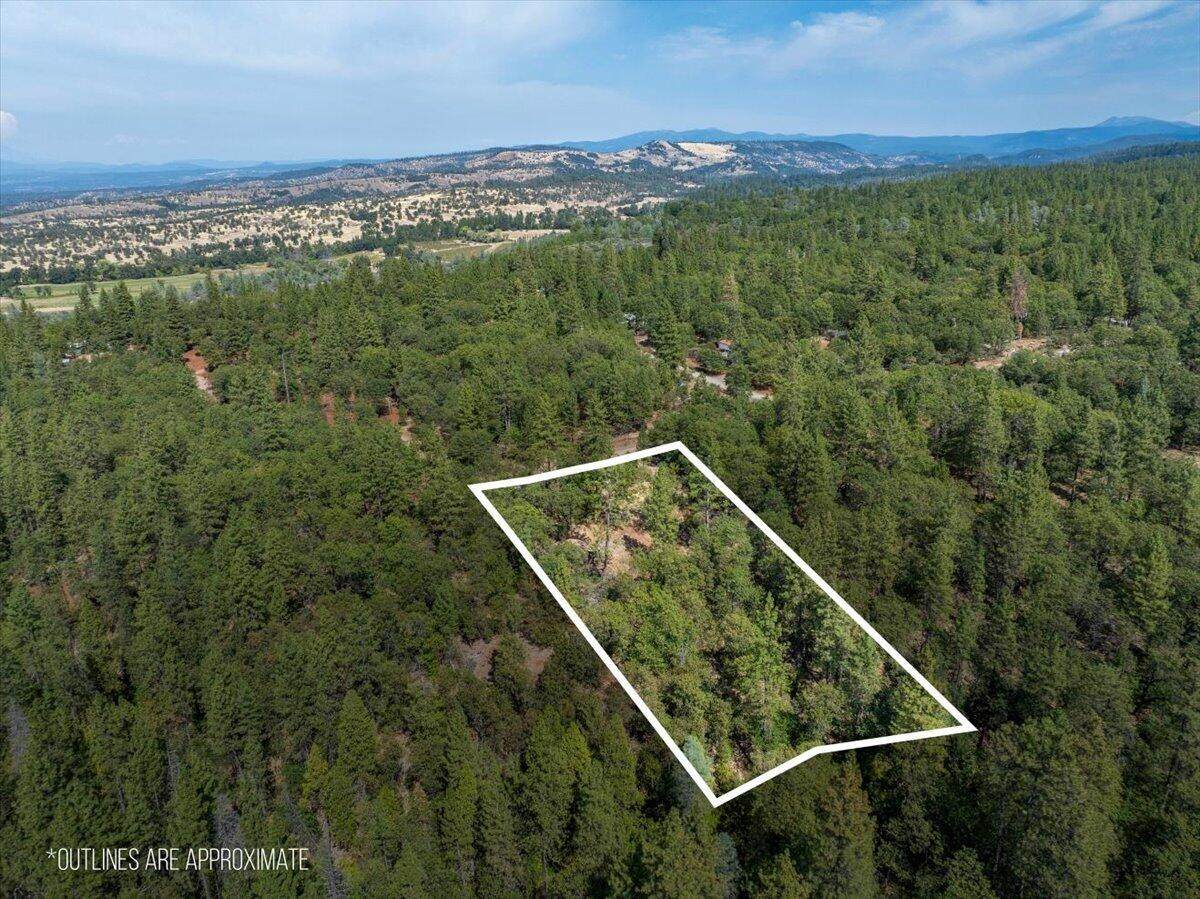 28759 Shingle Creek Lane - Photo 1