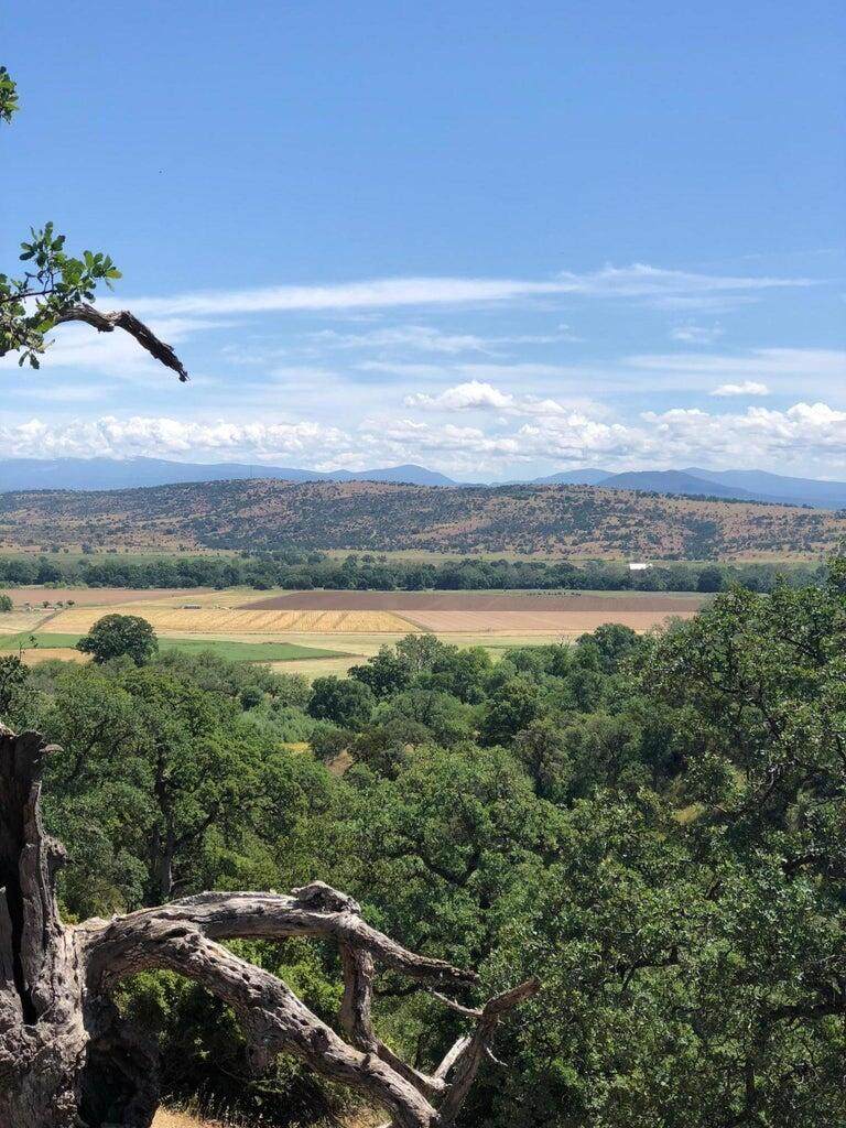 19828 Antelope Creek Drive - Photo 1