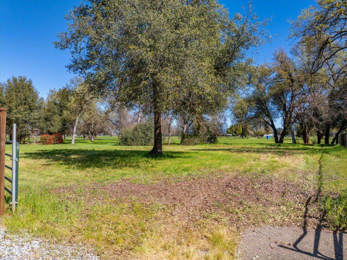 0000 Riata Drive - Photo 1