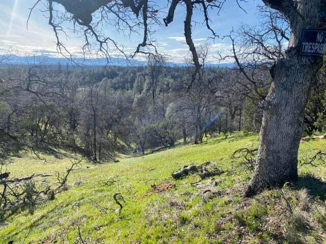  Santa Ynez Drive - Photo 1