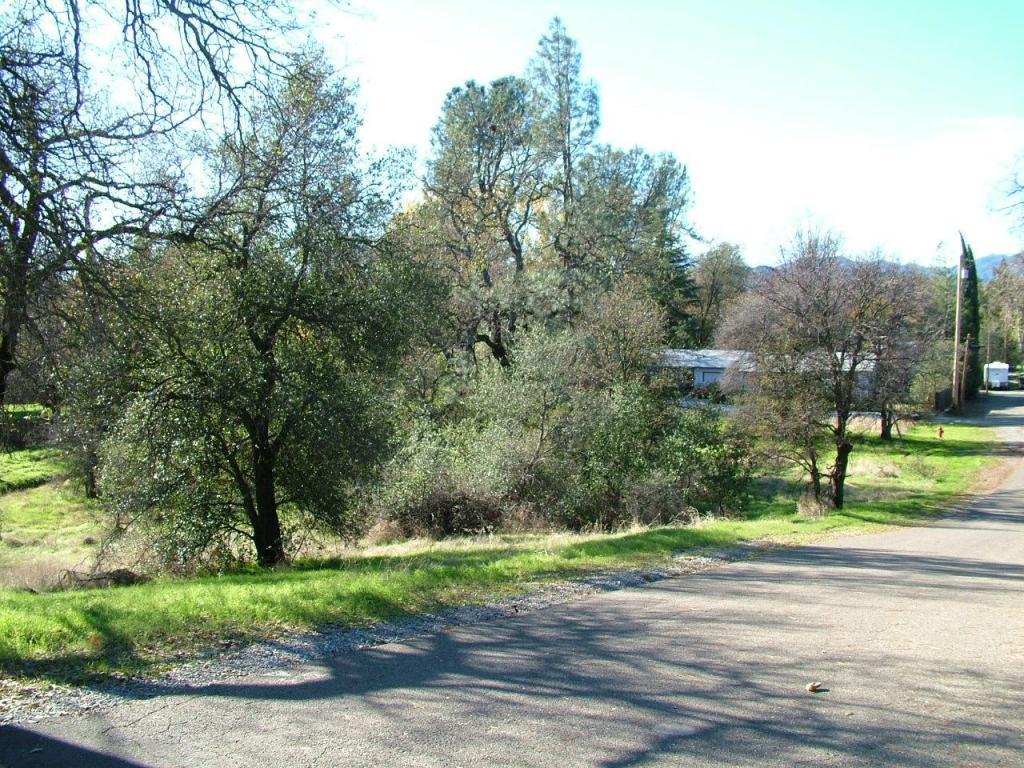 Chico - Photo 1