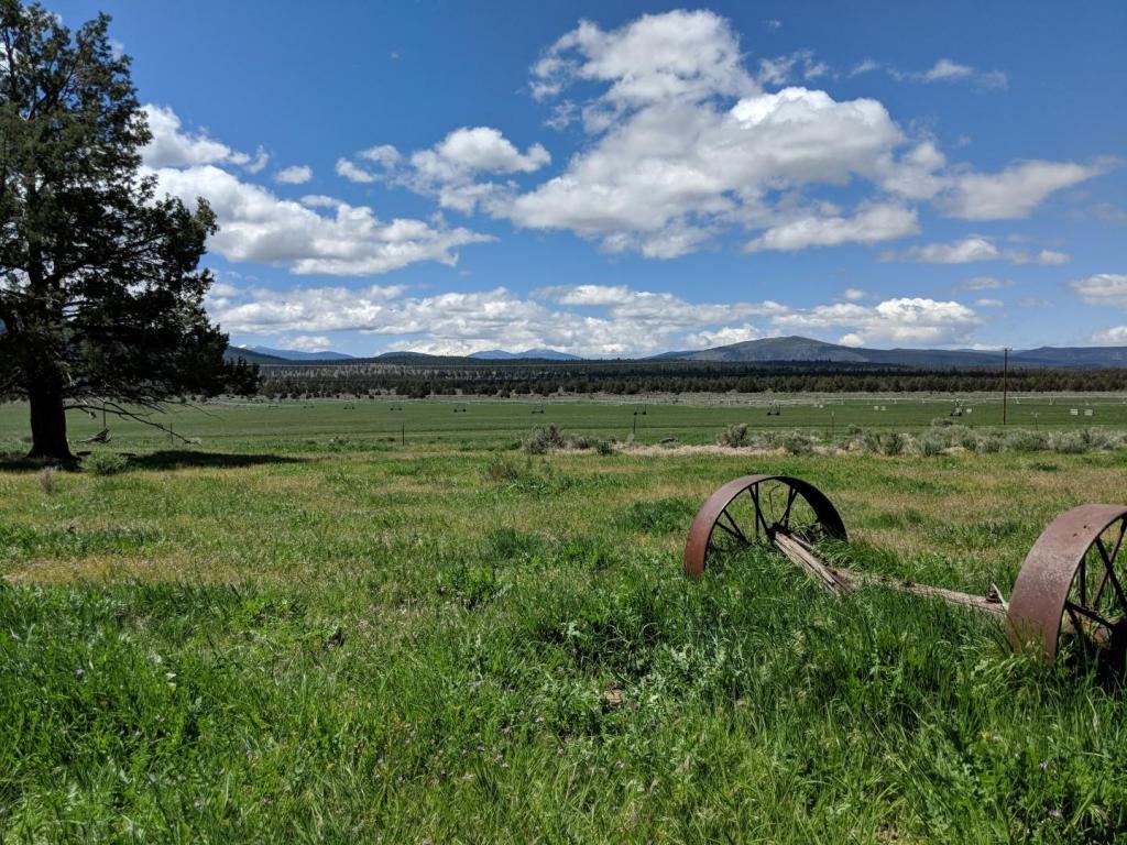 8217 Red Rock Rd - Photo 1