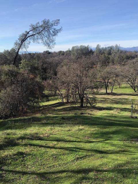 Creek Trail - Photo 1