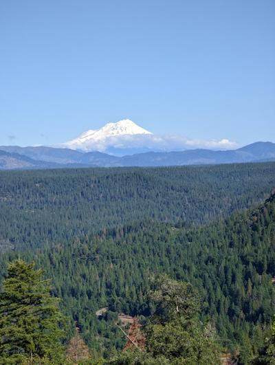 40 Acres Off Cove Rd. - Photo 1
