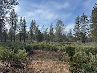 011 Whitmore Village Rd. - Photo 1