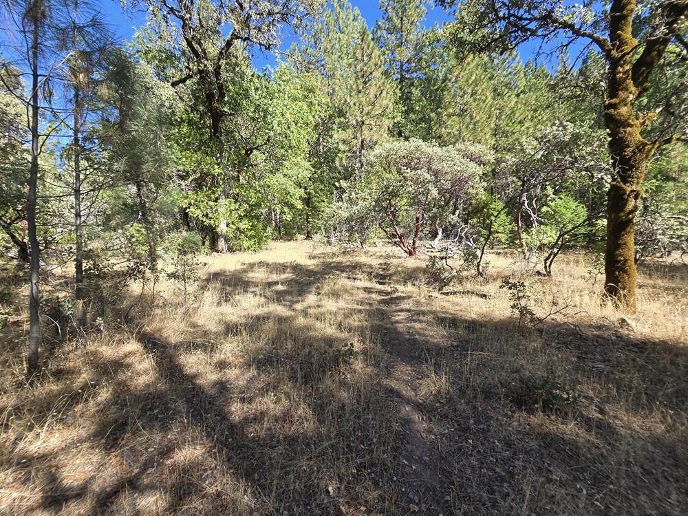 Lot 158 Bridger Way - Photo 1