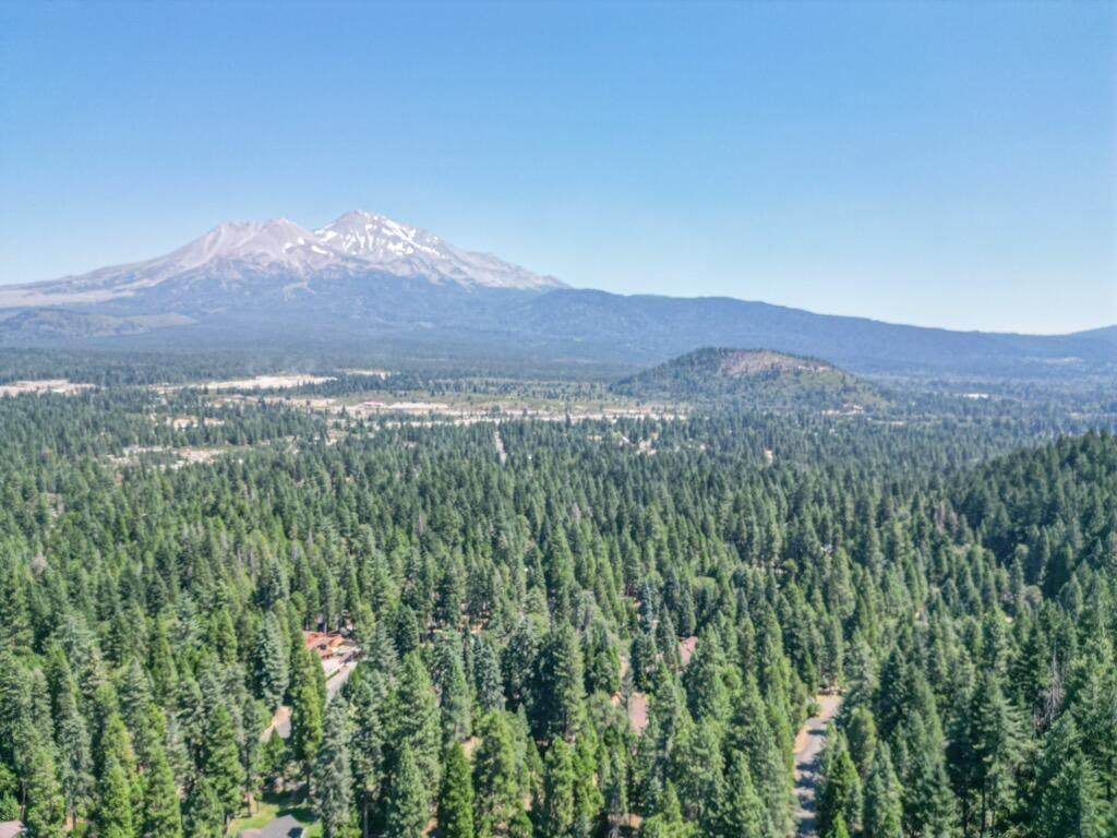 0000 Timber Hills Road - Photo 1