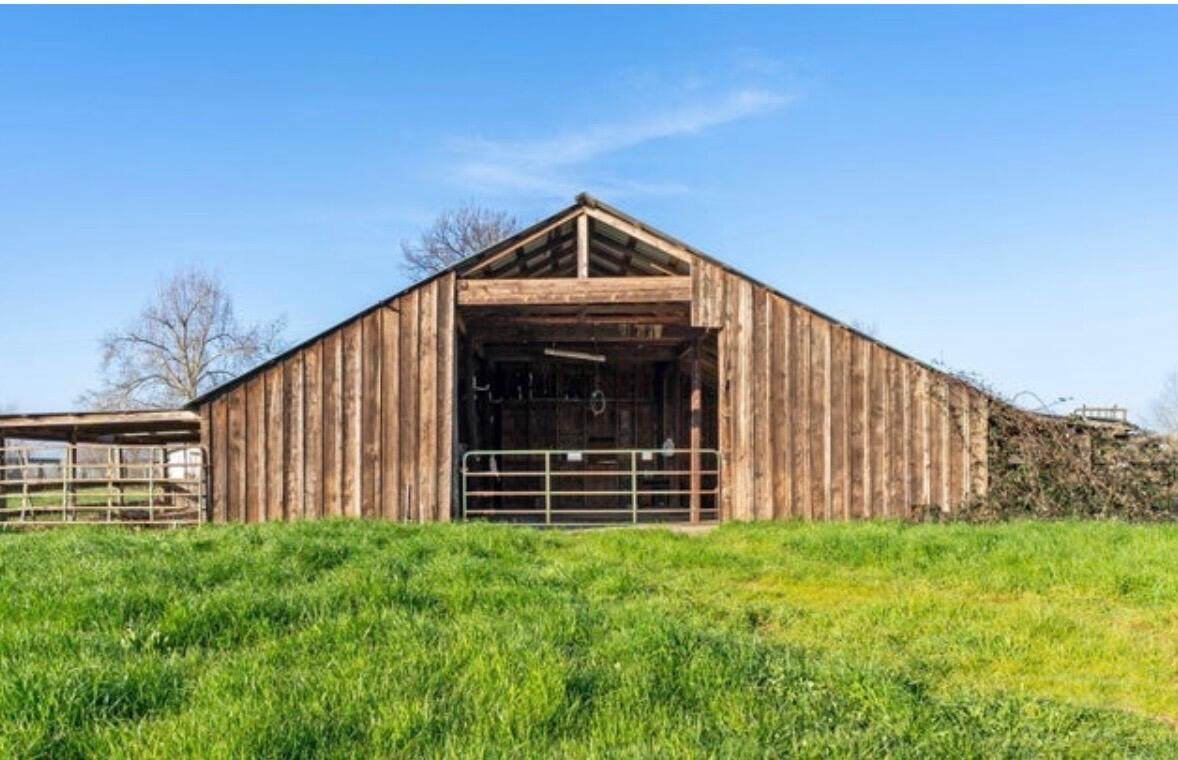 22809 Venzke Road - Photo 1