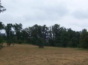 Vacant Land/Lot - Photo 1