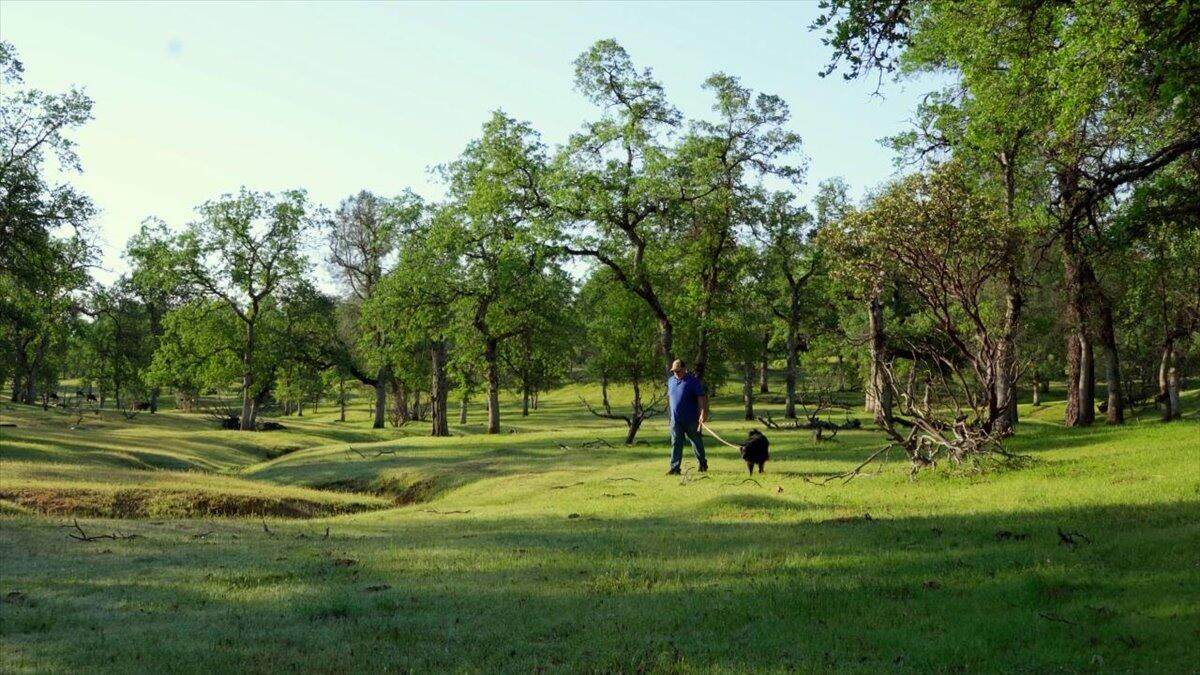 006 Old Oregon Trail - Photo 1