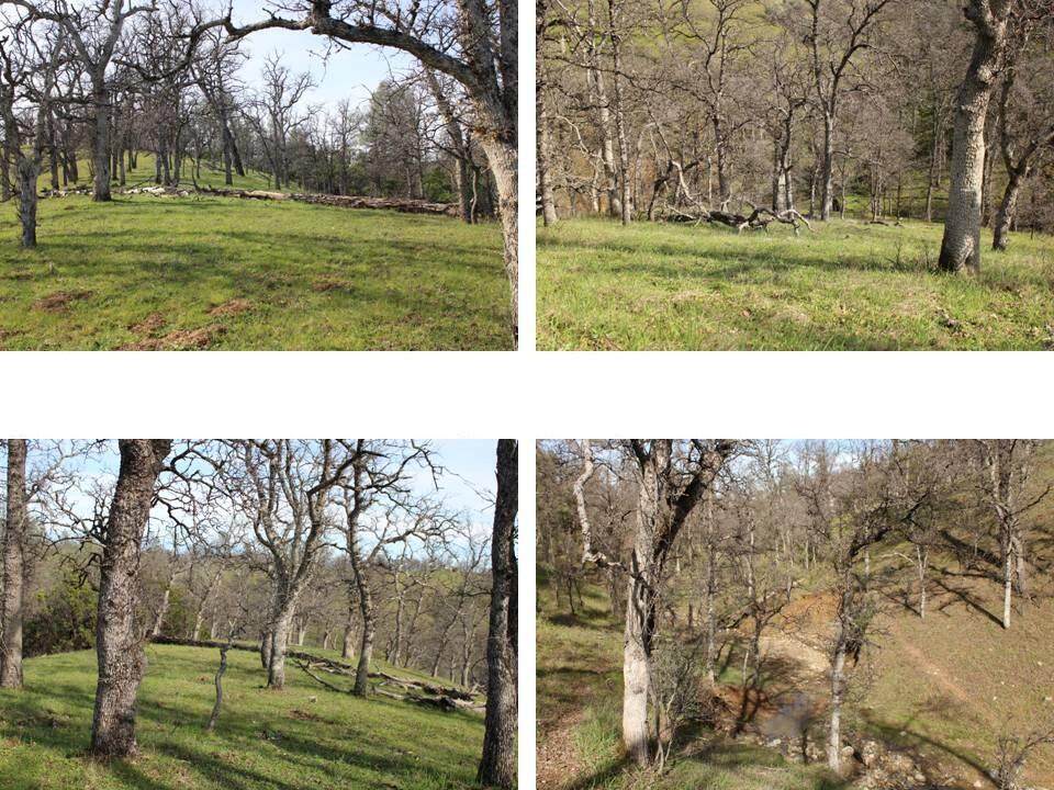 11500 Cool Spring Court - Photo 1