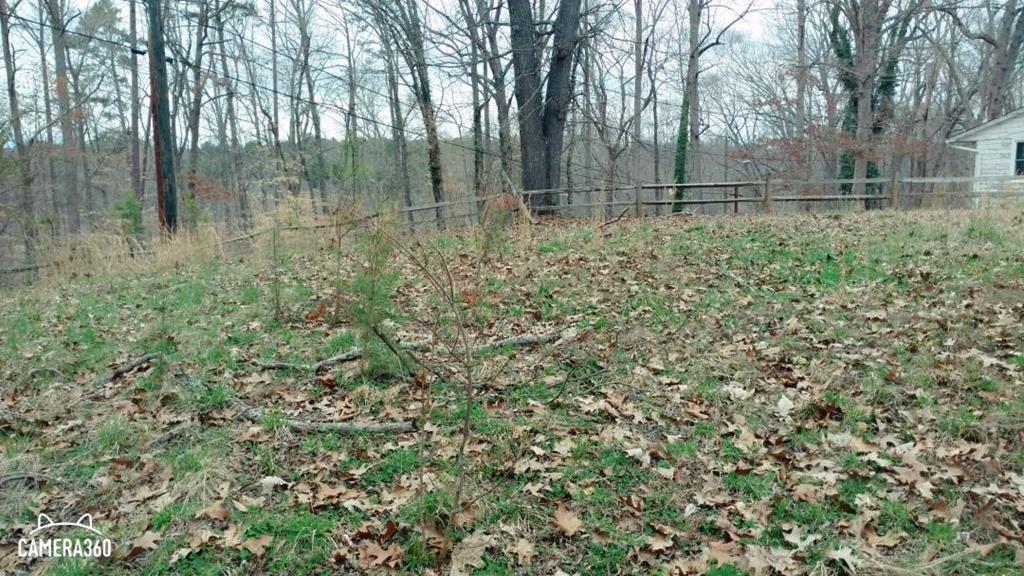 1110 Morgan Street N. - Photo 1