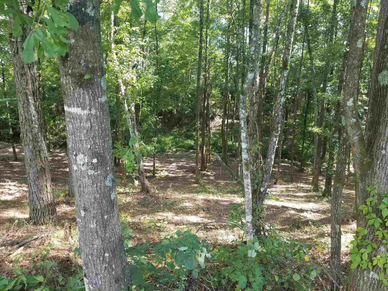0 Campbellsville Road - Photo 1