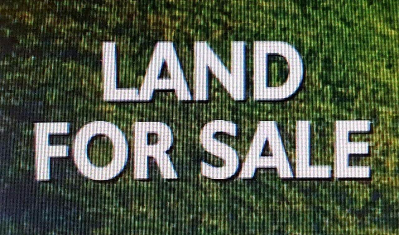 Lot 15 Pride Estates Rd - Photo 1