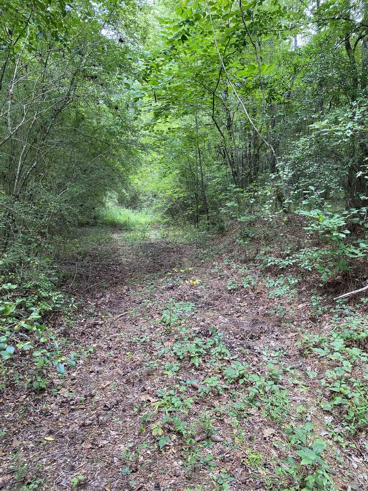 815 Co Rd 33 - Photo 1