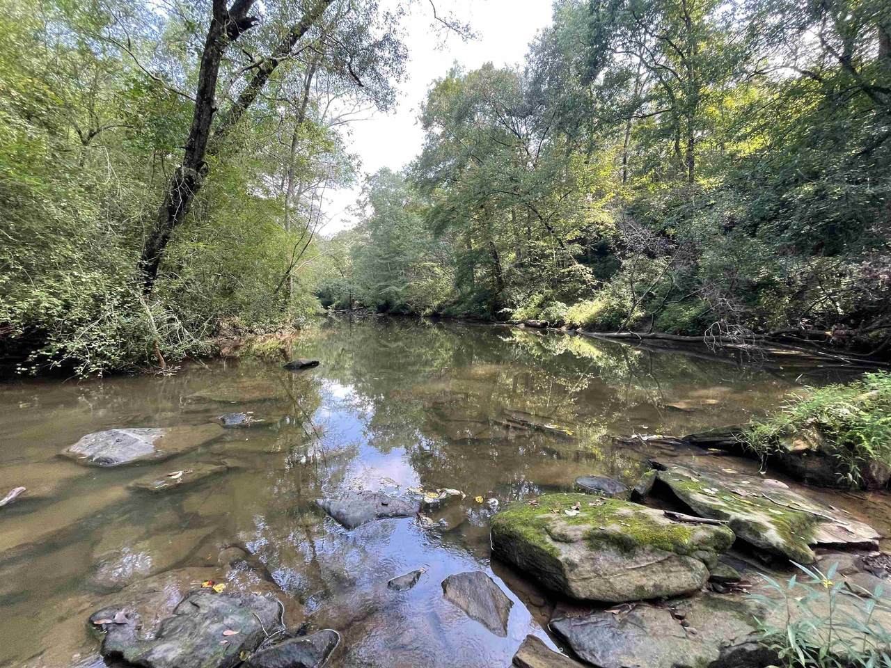 0 Co Rd 779 - Photo 1