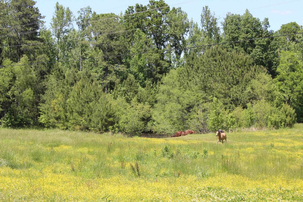 6585 Hwy 31 - Photo 1