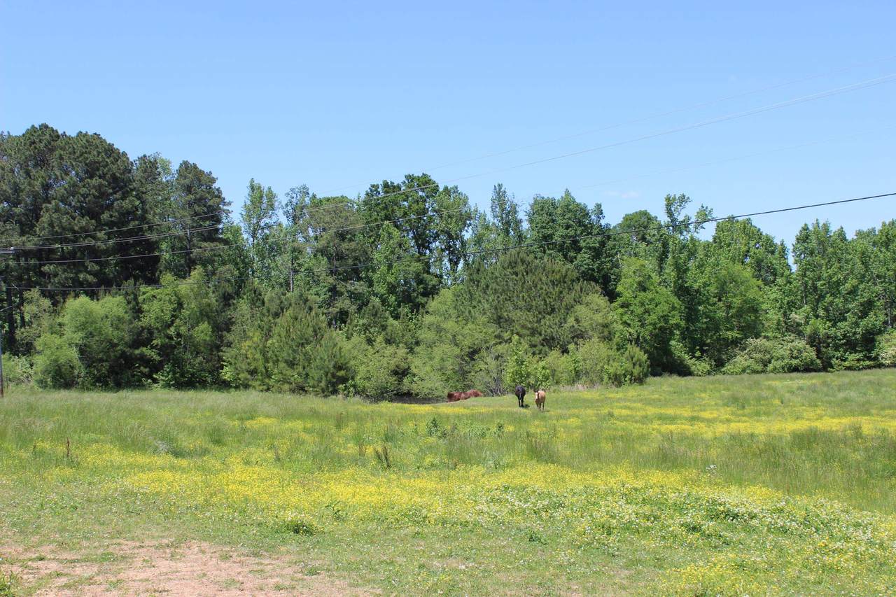 3156 Hwy 31 - Photo 1