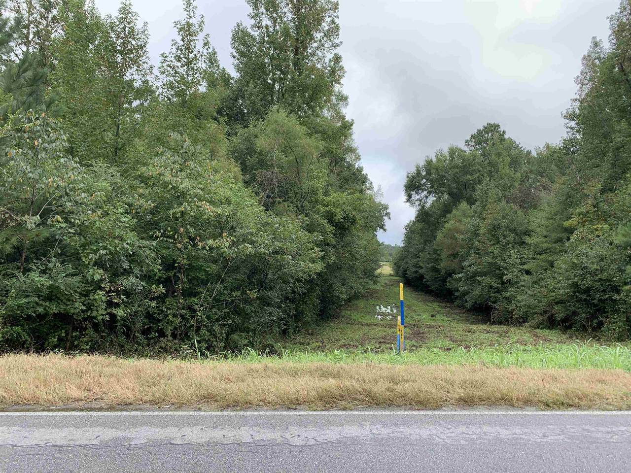 0 Co Rd 437 - Photo 1