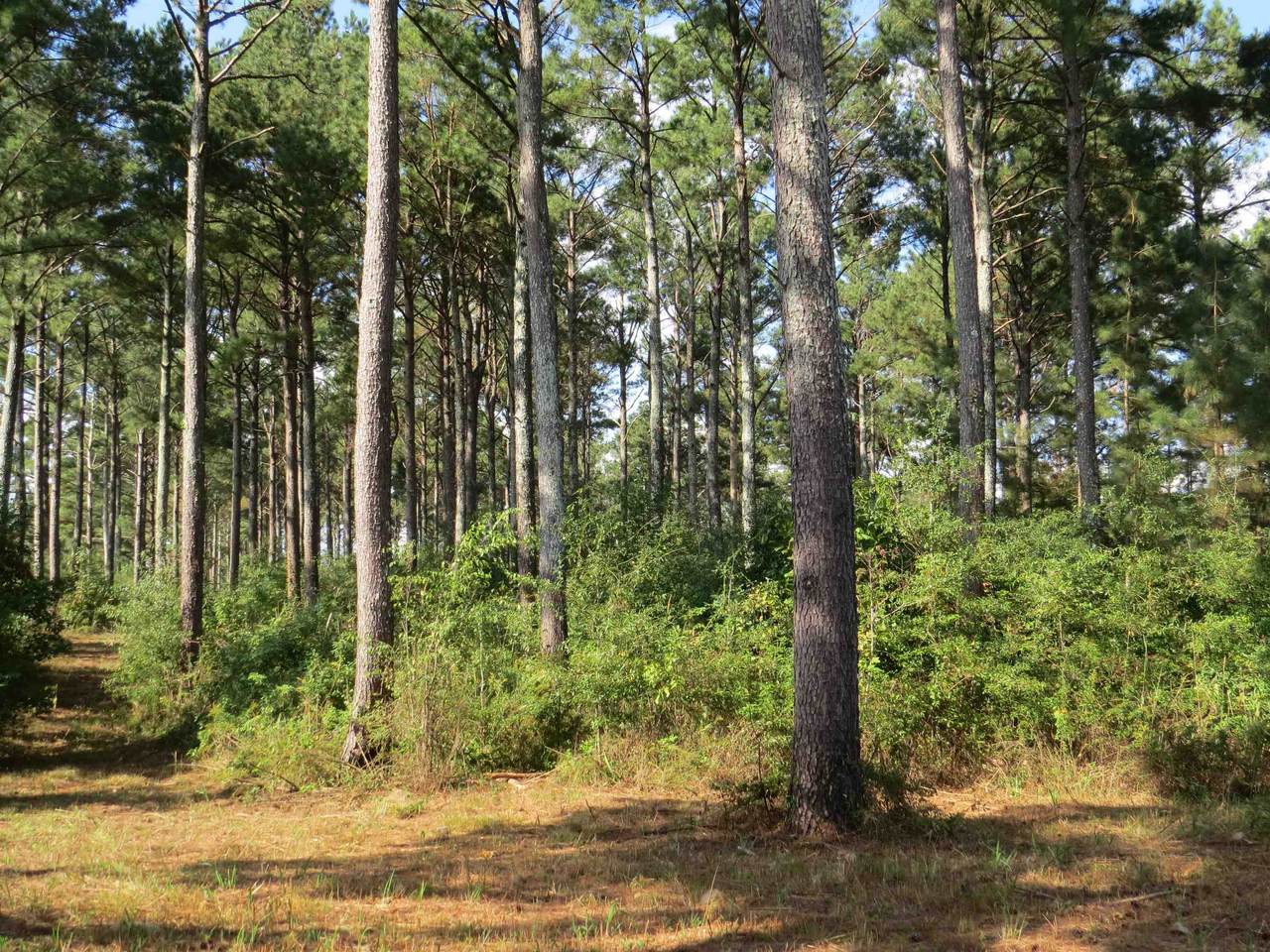 2380 State Hwy 172 - Photo 1
