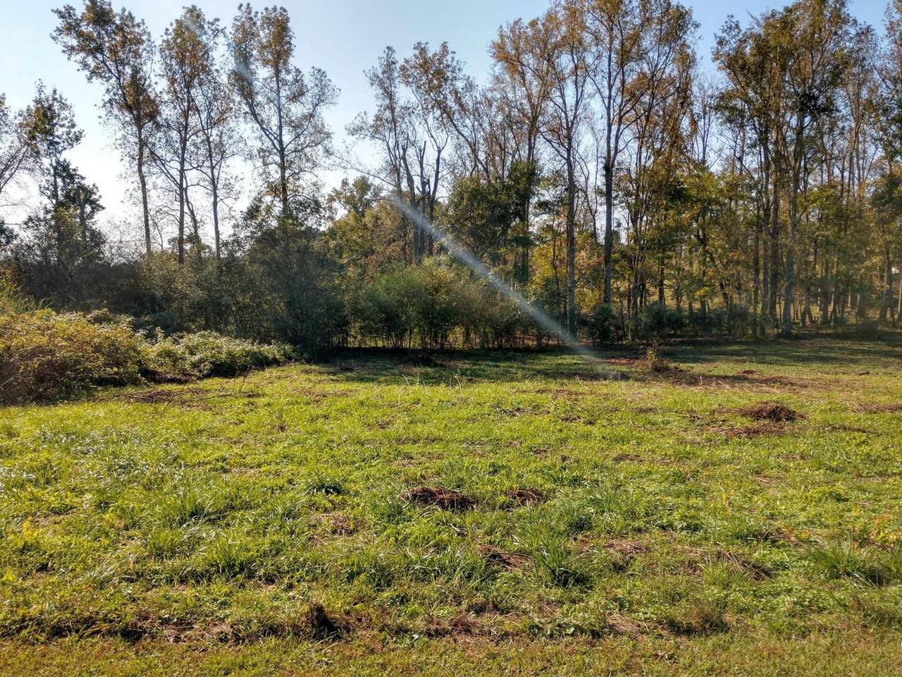0 Pond View Dr - Photo 1