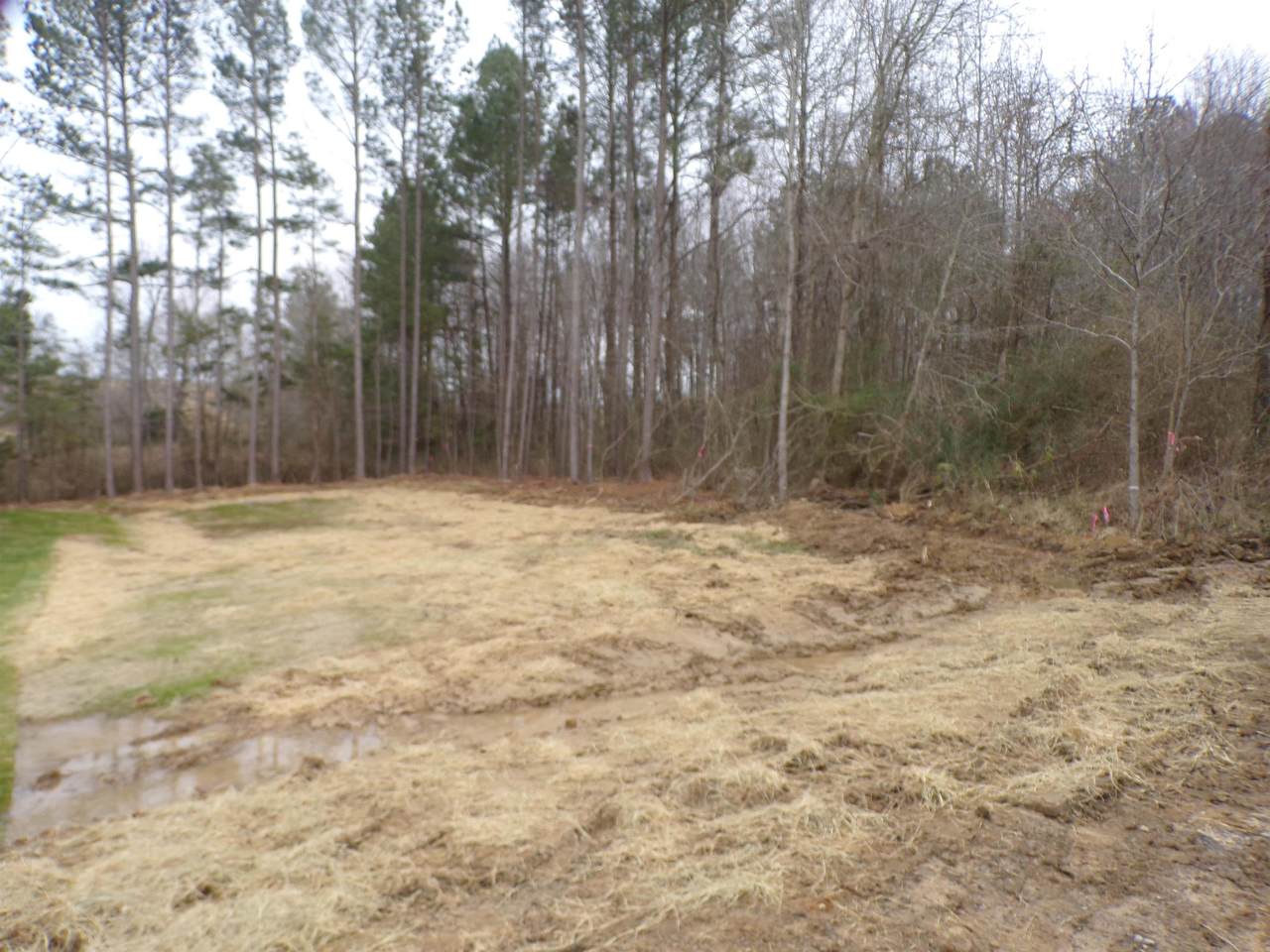 73 Co Rd 662 - Photo 1