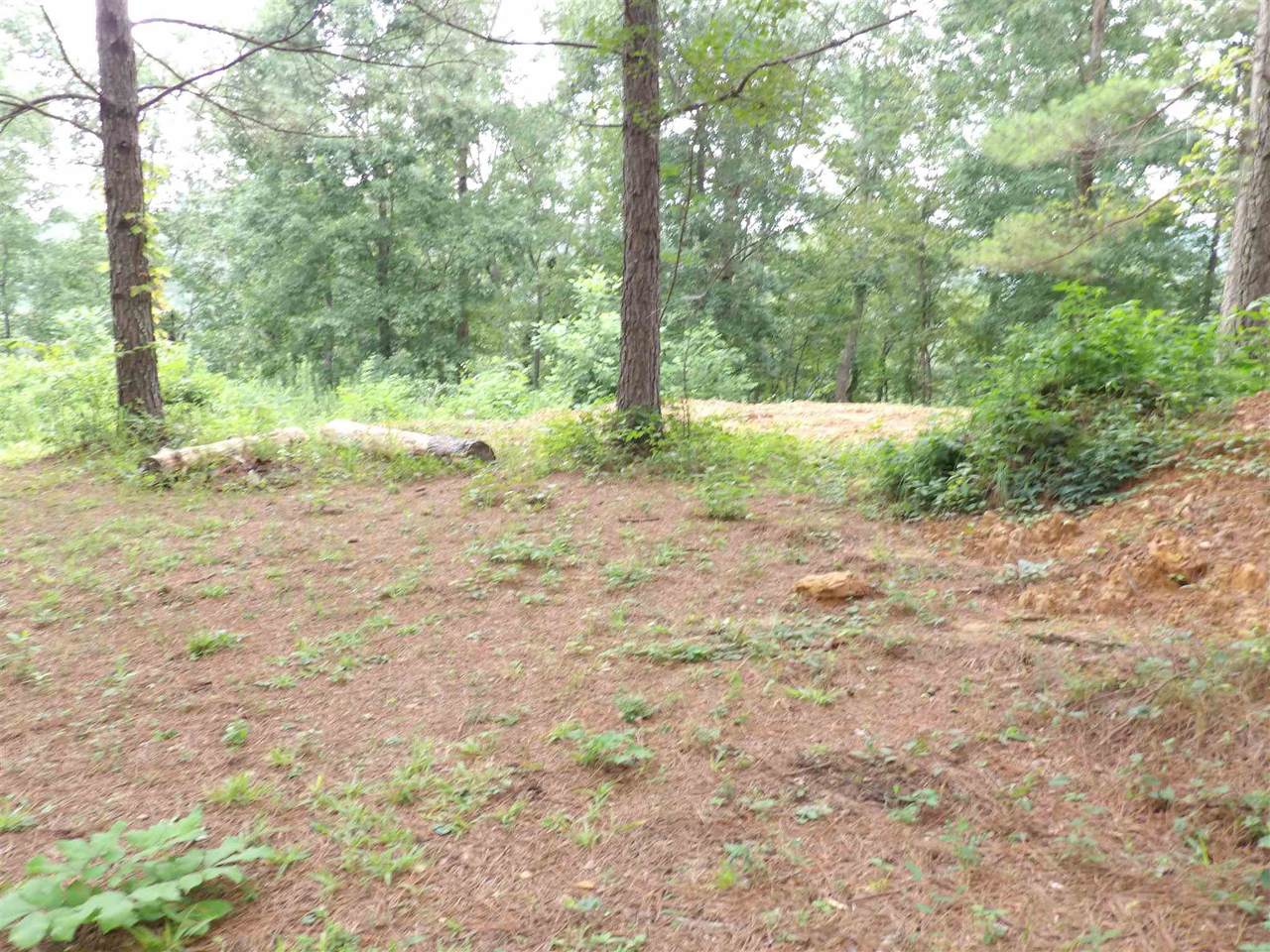 0 Co Rd 373 - Photo 1
