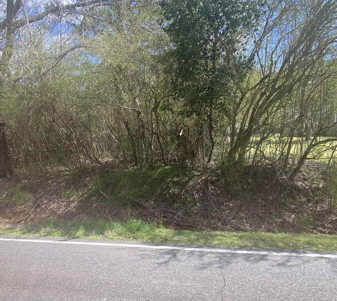 2233 Old Springville Rd - Photo 1