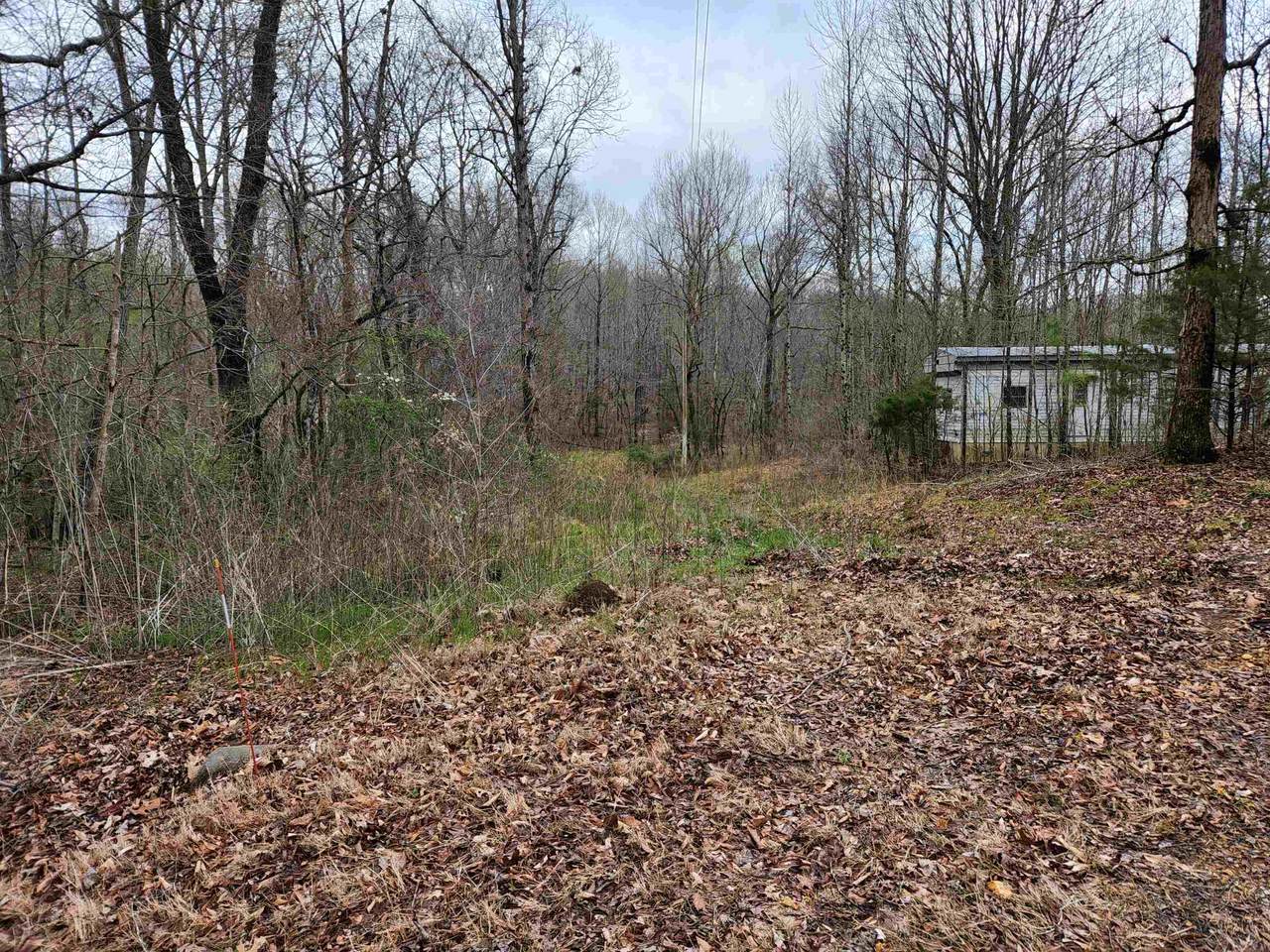 9310 Co Rd 61 - Photo 1