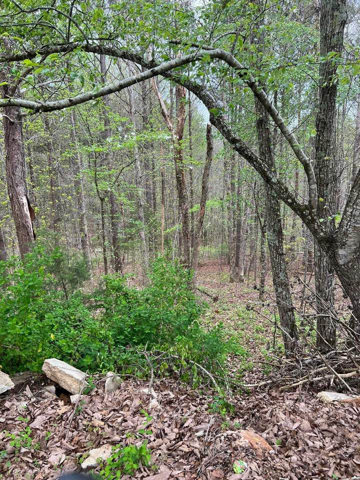 97 #K Pinehaven Dr - Photo 1