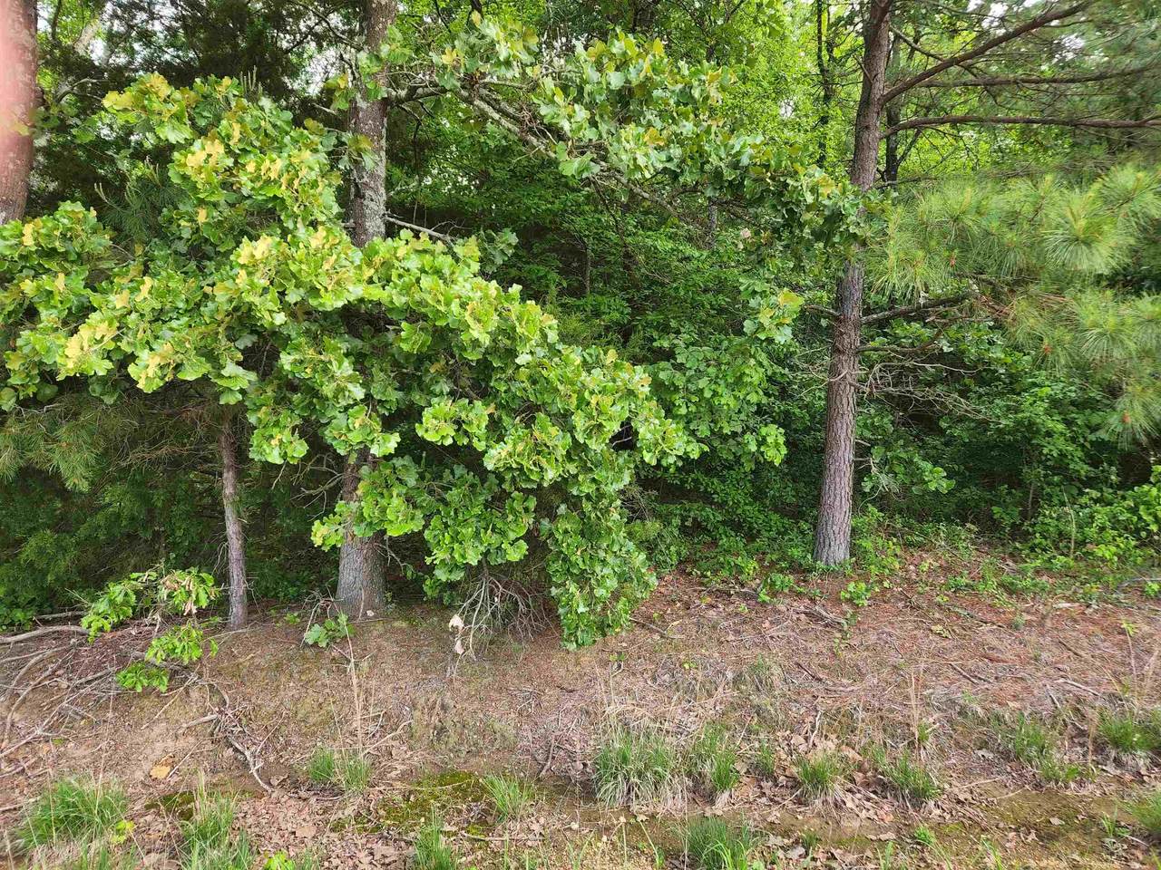 01 Co Rd 216 - Photo 1