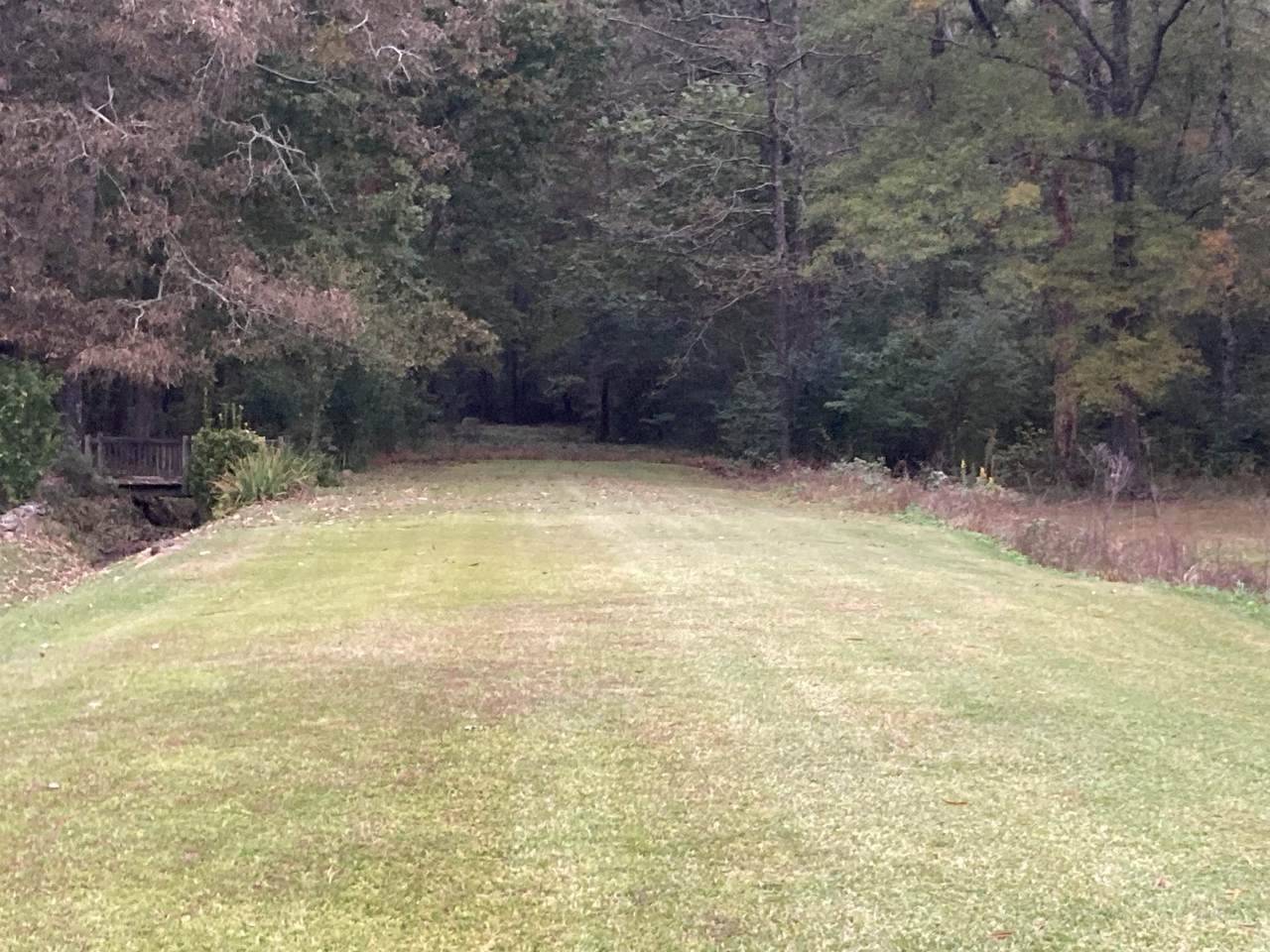 0 Co Rd 496 - Photo 1