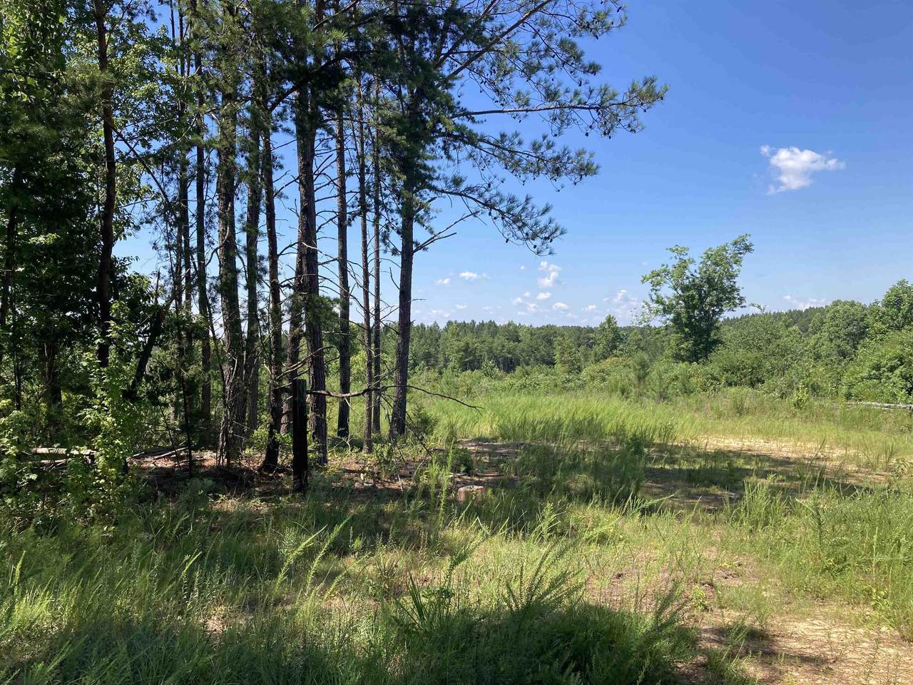 0 Cagle Rd - Photo 1