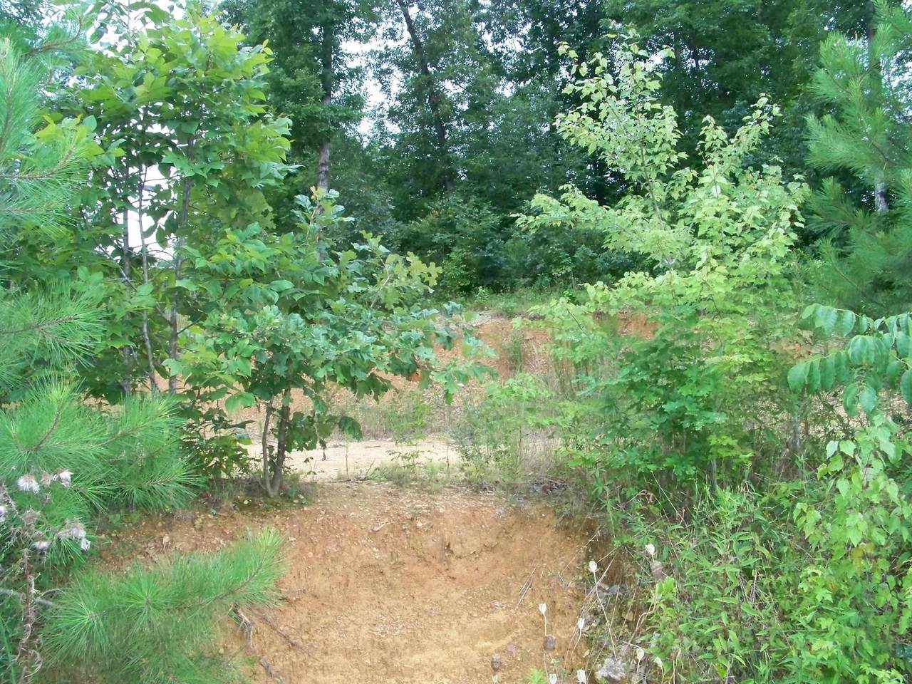 0 Co Rd 260 - Photo 1
