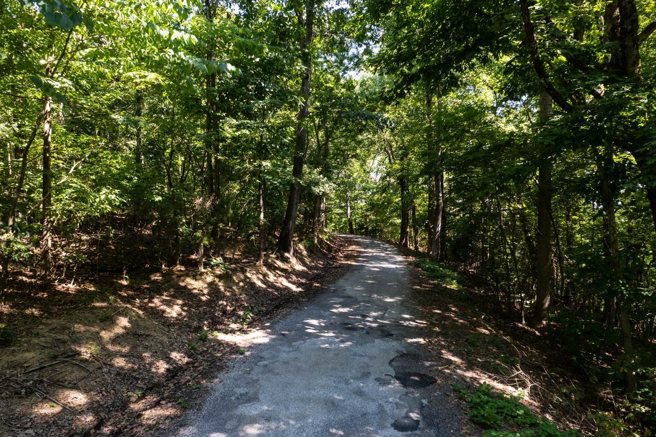 18475 Blue Springs Rd - Photo 1