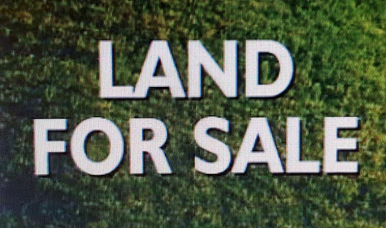 Lot 15 Pride Estates Rd - Photo 1