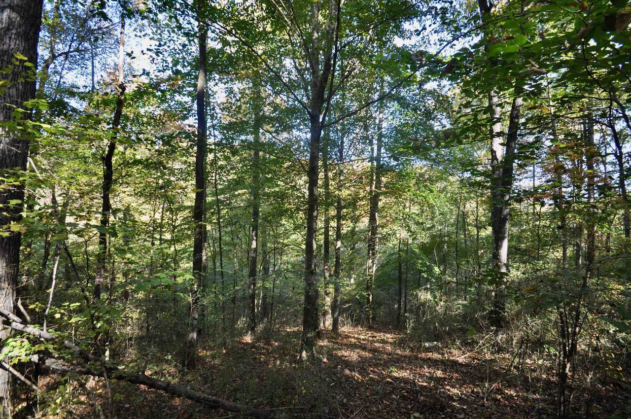 0 Co Rd 1387 - Photo 1