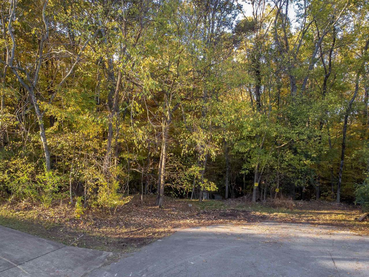 135 Harbor Close - Photo 1