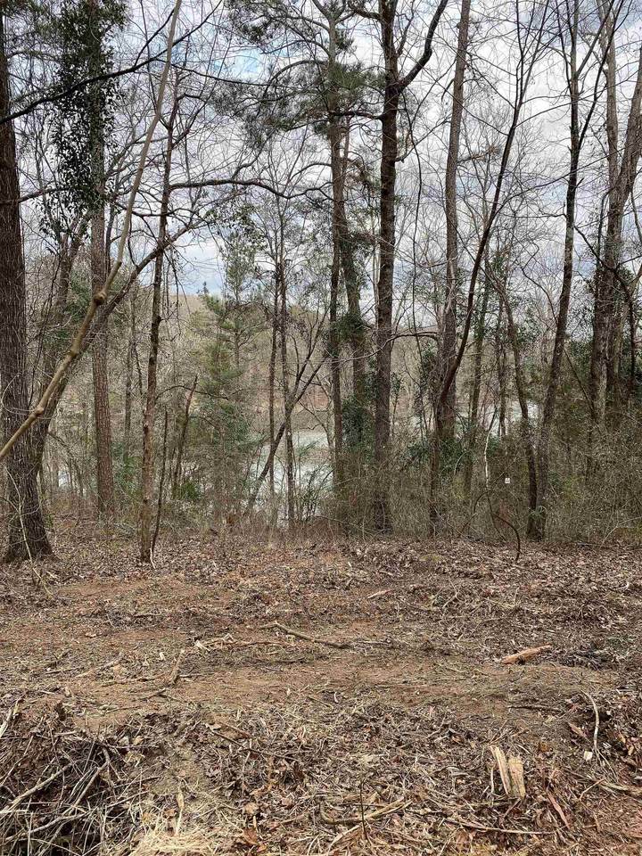 00 Mon Dye Rd - Photo 1