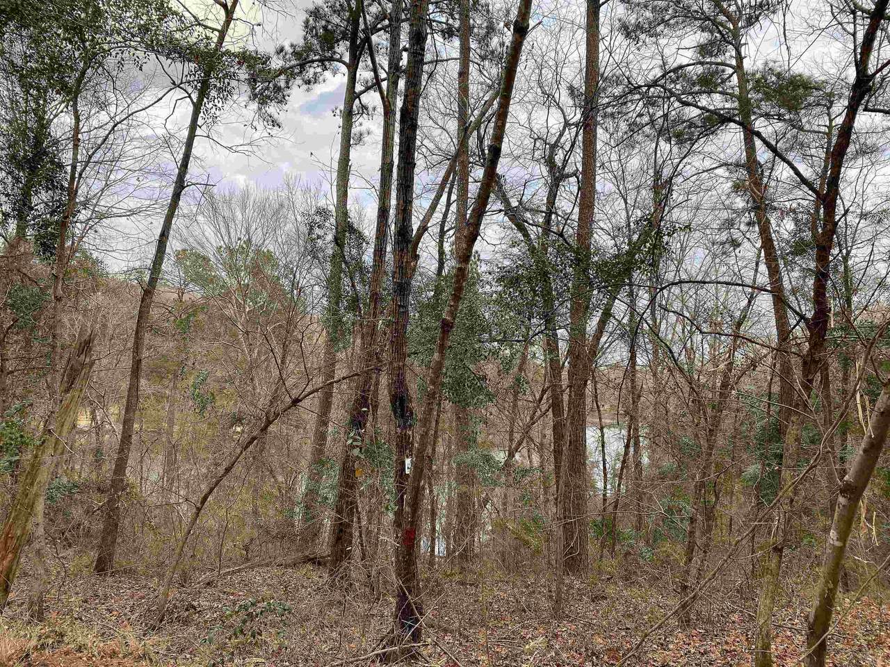 00 Mon Dye Rd - Photo 1