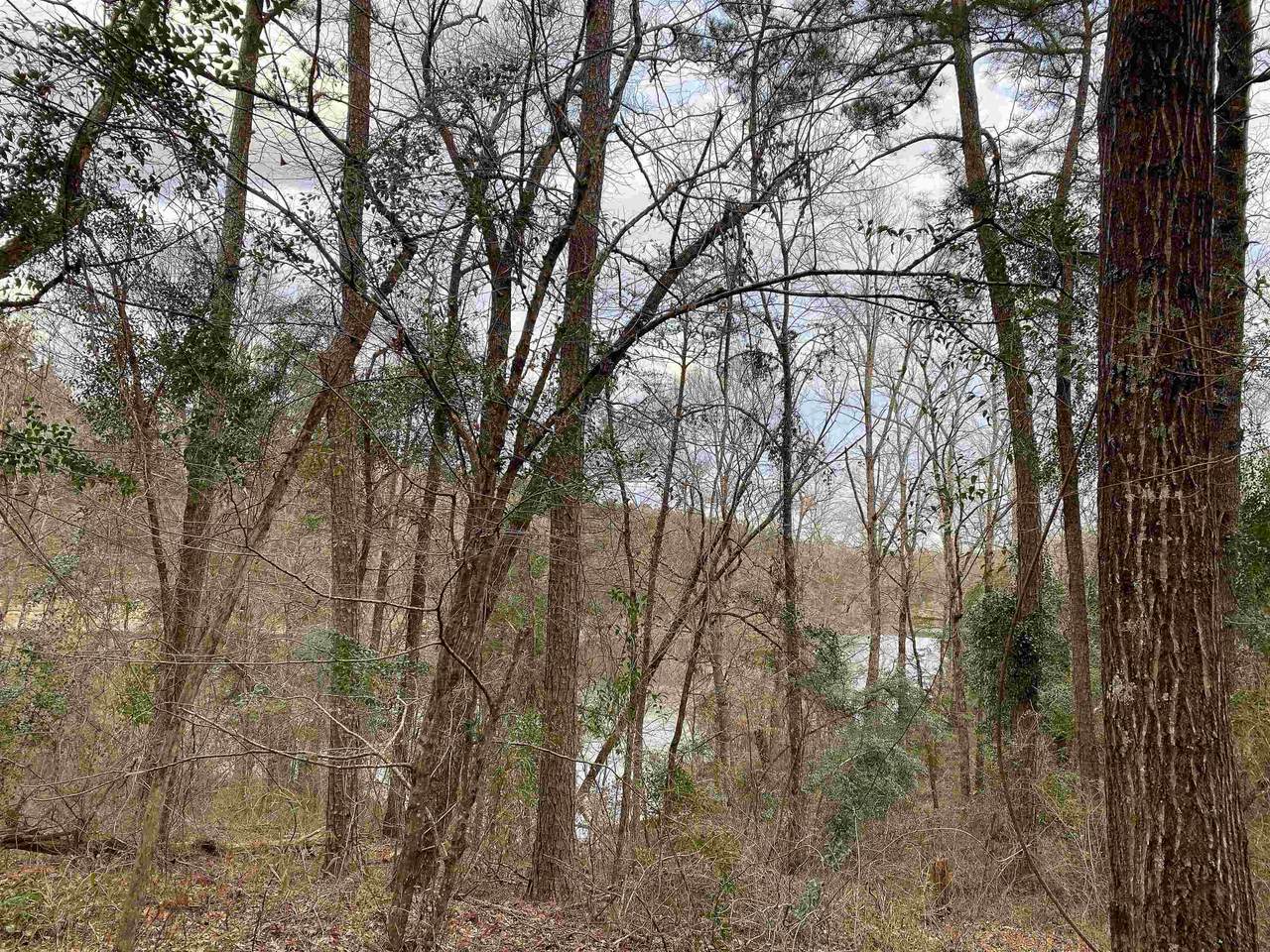 00 Mon Dye Rd - Photo 1