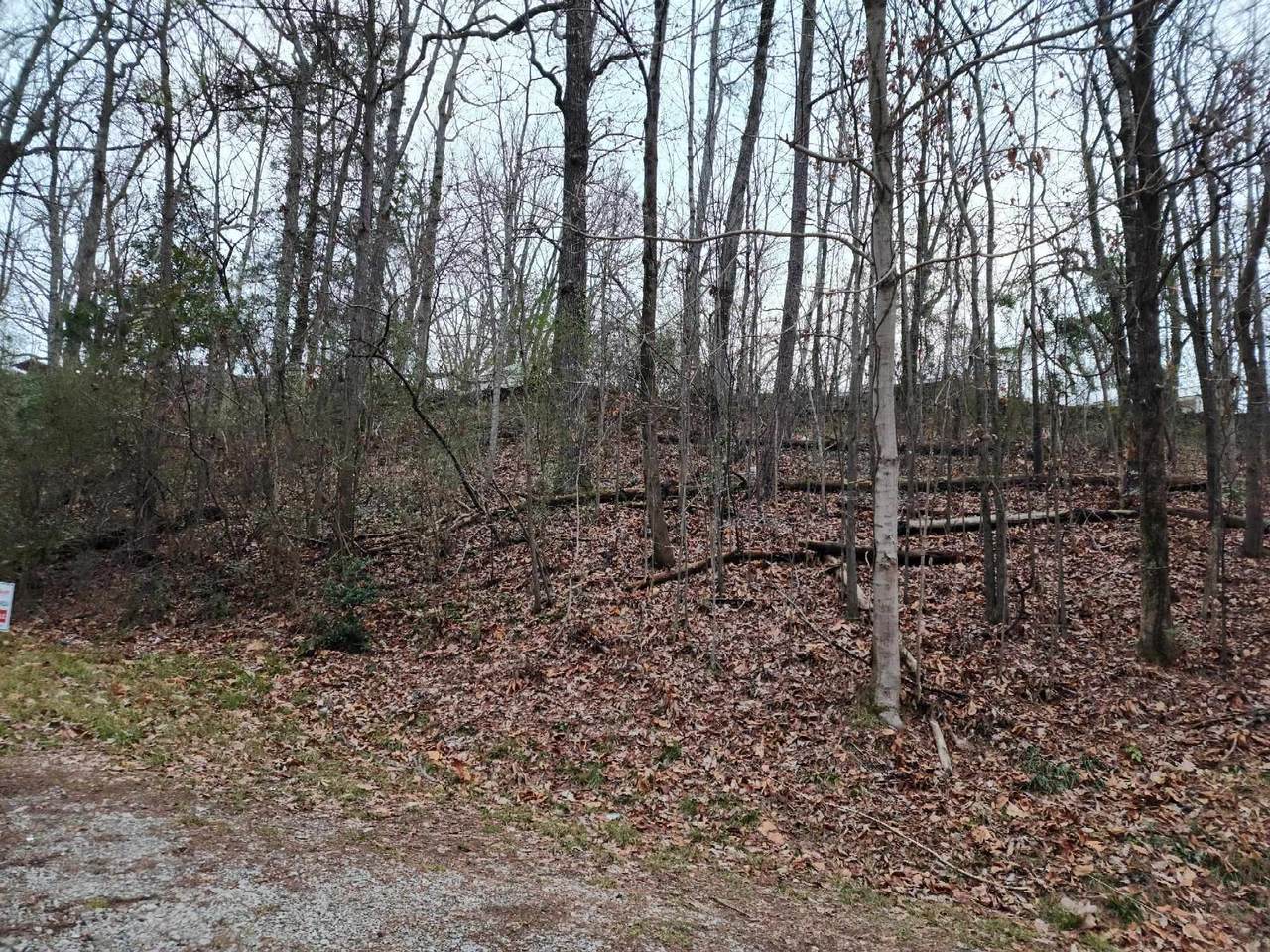 Lot 1 Carrollton Dr - Photo 1