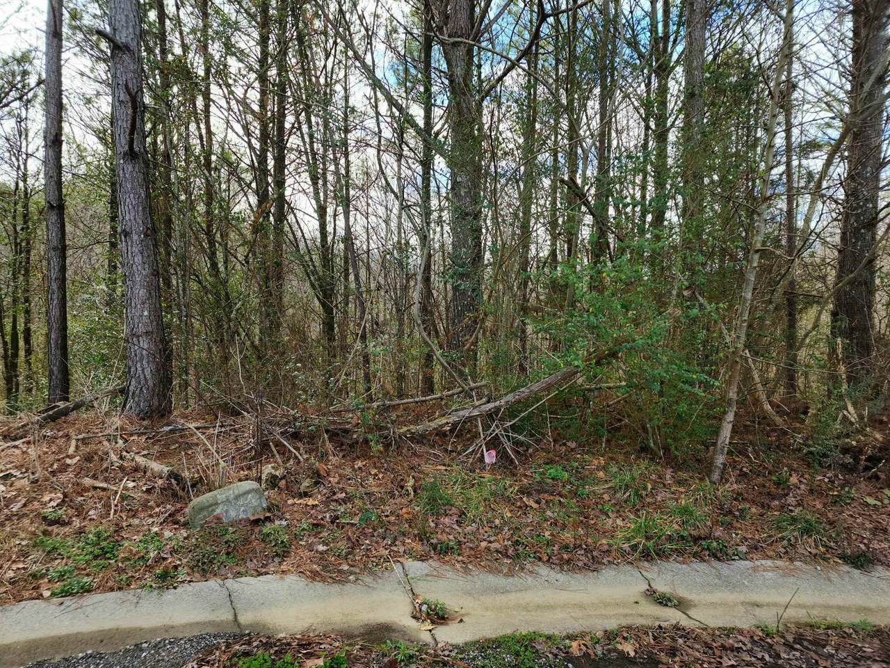 Lot 11 Co Rd 1636 - Photo 1