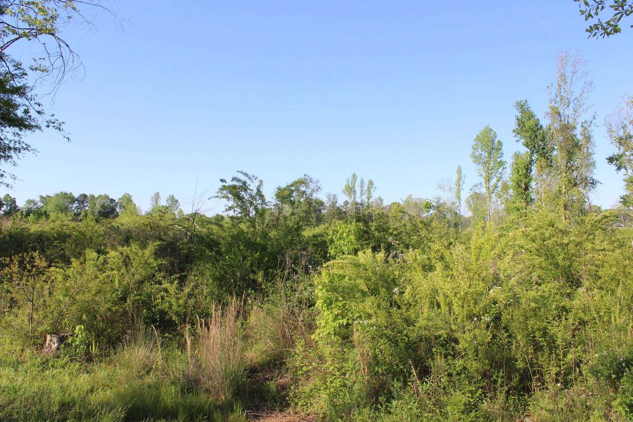 0 Welti Rd - Photo 1