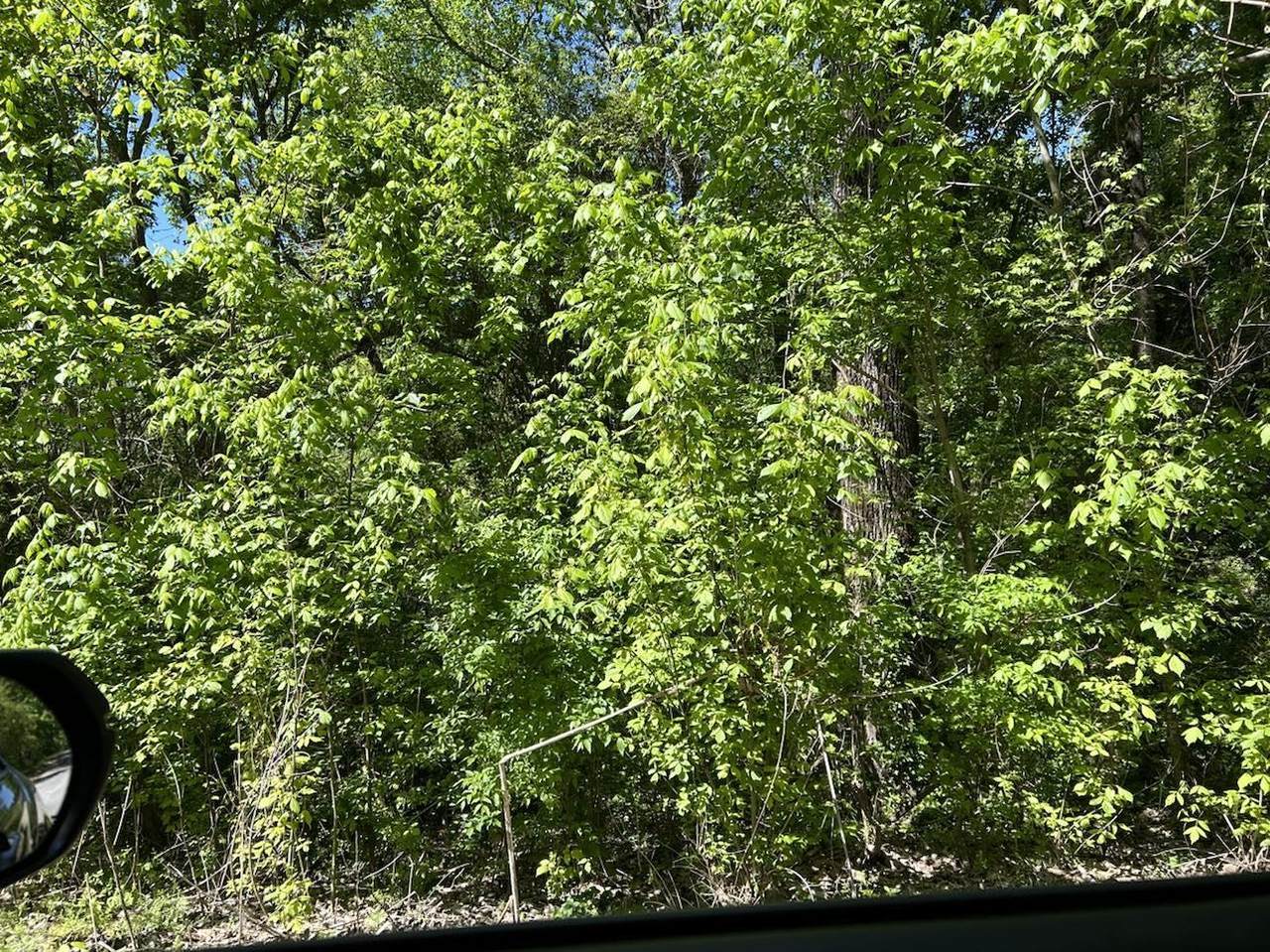 Lot 2 Co Rd 1123 - Photo 1
