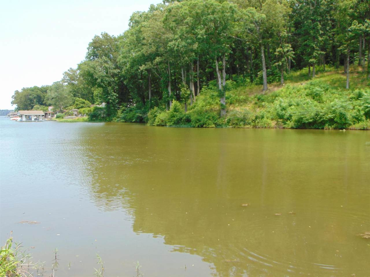 006 Wilson Lake Shores Rd, Muscle Shoals, AL 35661 (MLS 516875